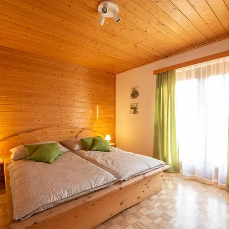 Apartment Haus Karl *